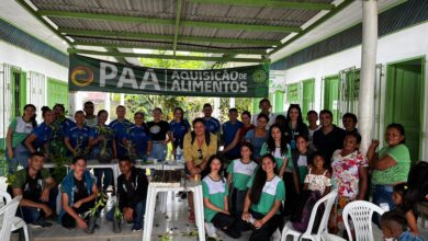 Photo of Em Eirunepé, Idam capacita agricultores familiares em boas práticas de Propagação Vegetativa