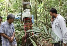 Photo of Manejo florestal sustentável e com uso de tecnologia é o objetivo de pesquisa apoiada pelo Governo do Amazonas