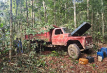 Photo of Crime ambientais: Ipaam aplica multas e faz apreensões de equipamentos na Operação Curupira